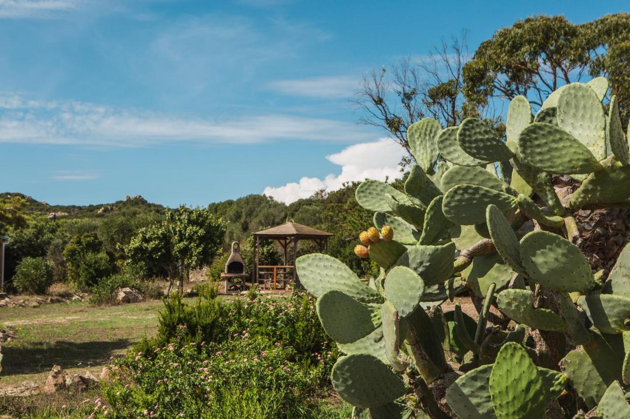 منزل الضيف بونيفَسْيو  في Sapa Di Cala المظهر الخارجي الصورة